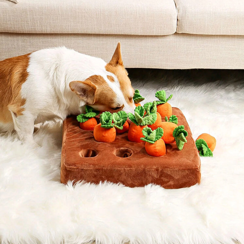 Fun Pet Feeding Mat | Interactive Treat Dispenser - HappyKidMart