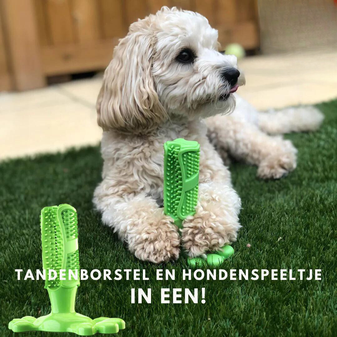 Pet Dental Chew Toy Natural Rubber Teeth Cleaner - HappyKidMart