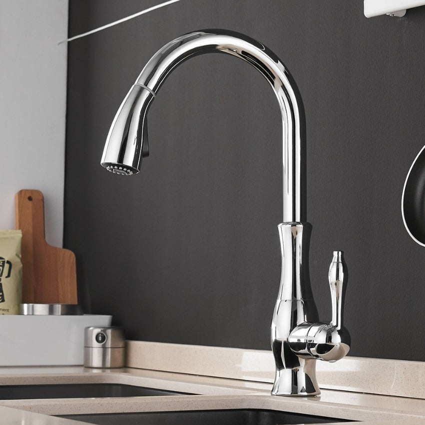 Contemporary Slide-Out Kitchen Faucet Stainless Steel Finish