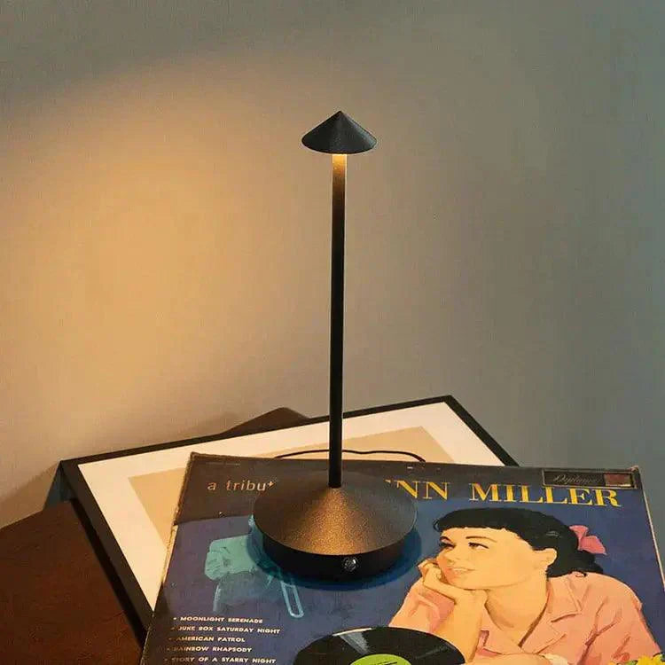 Stylish Portable LED Desk Lamp