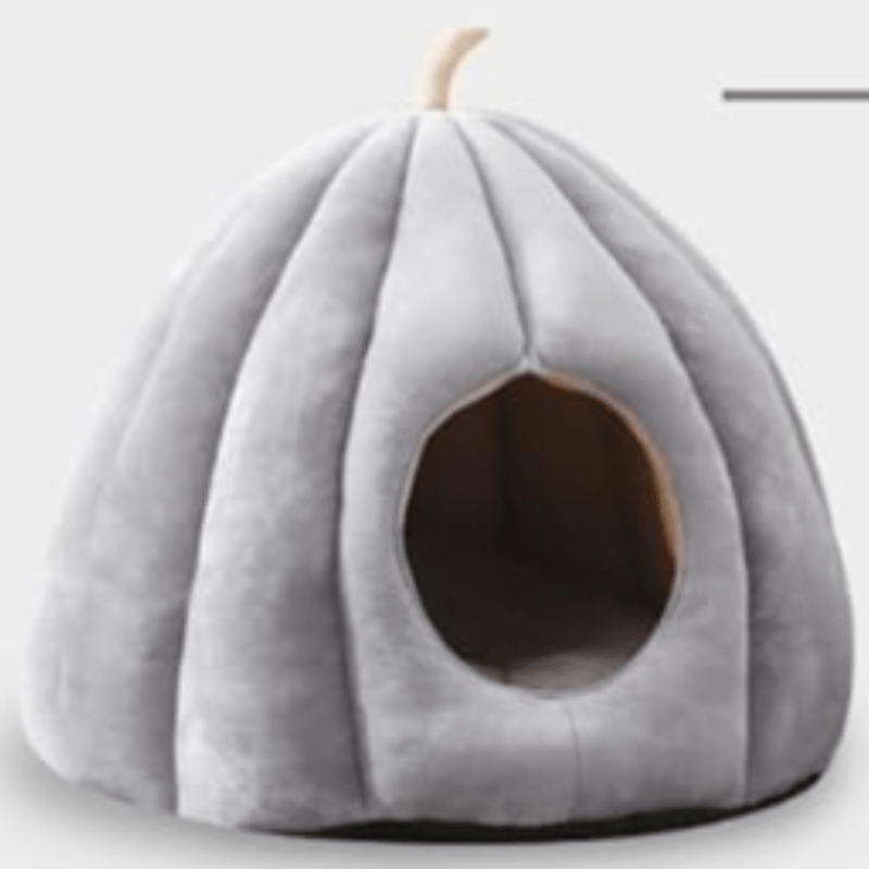 Cozy Kitty Pumpkin Bed For Cold Weather