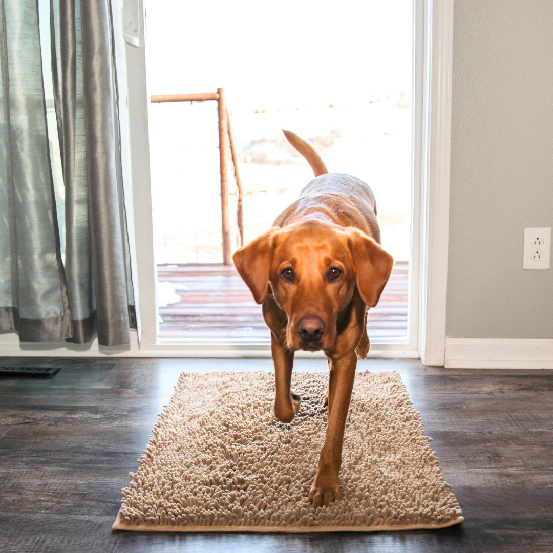 Super Absorbent Pet Floor Mat