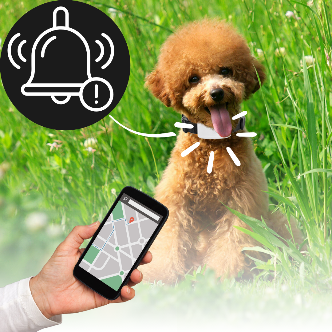 Pet GPS Location Tracker Collar - HappyKidMart