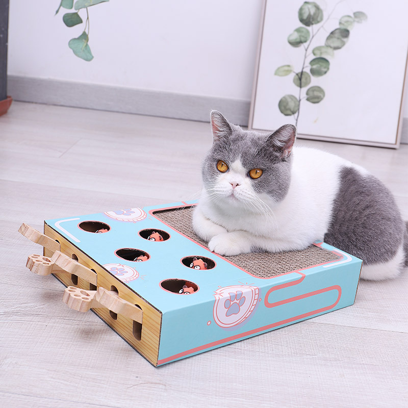 Fun 3-in-1 Cat Tower & Scratcher - HappyKidMart