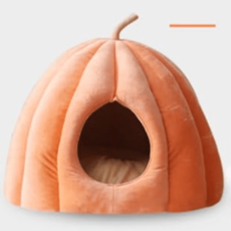 Cozy Kitty Pumpkin Bed For Cold Weather