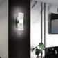 Elegant Glass LED Wall Sconce