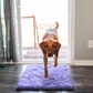 Super Absorbent Pet Floor Mat