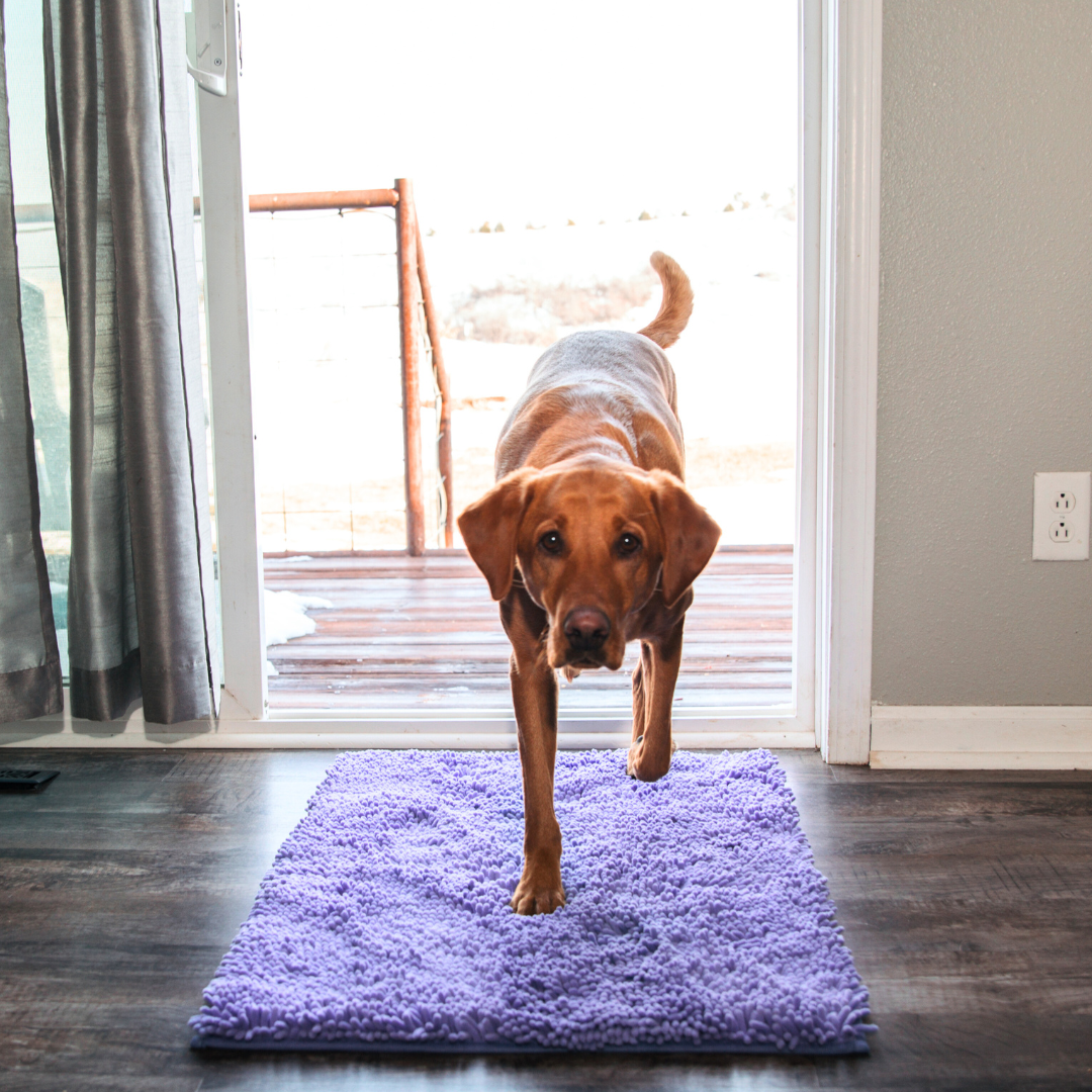 Super Absorbent Pet Floor Mat
