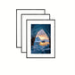 Stylish Picture Frame Set | Black Decorative Wall Collection