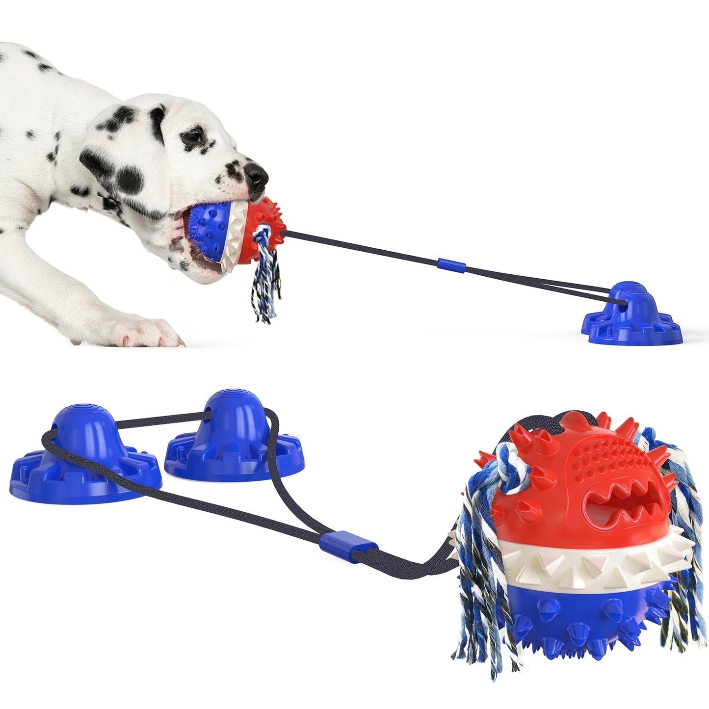 Fun Dog Suction Toy with Chew Ball