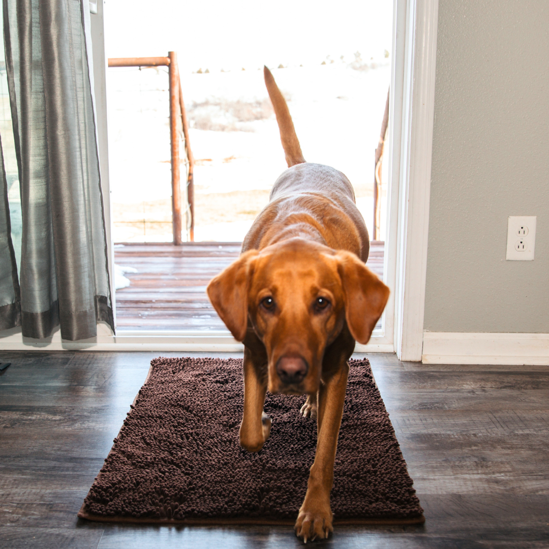 Super Absorbent Pet Floor Mat