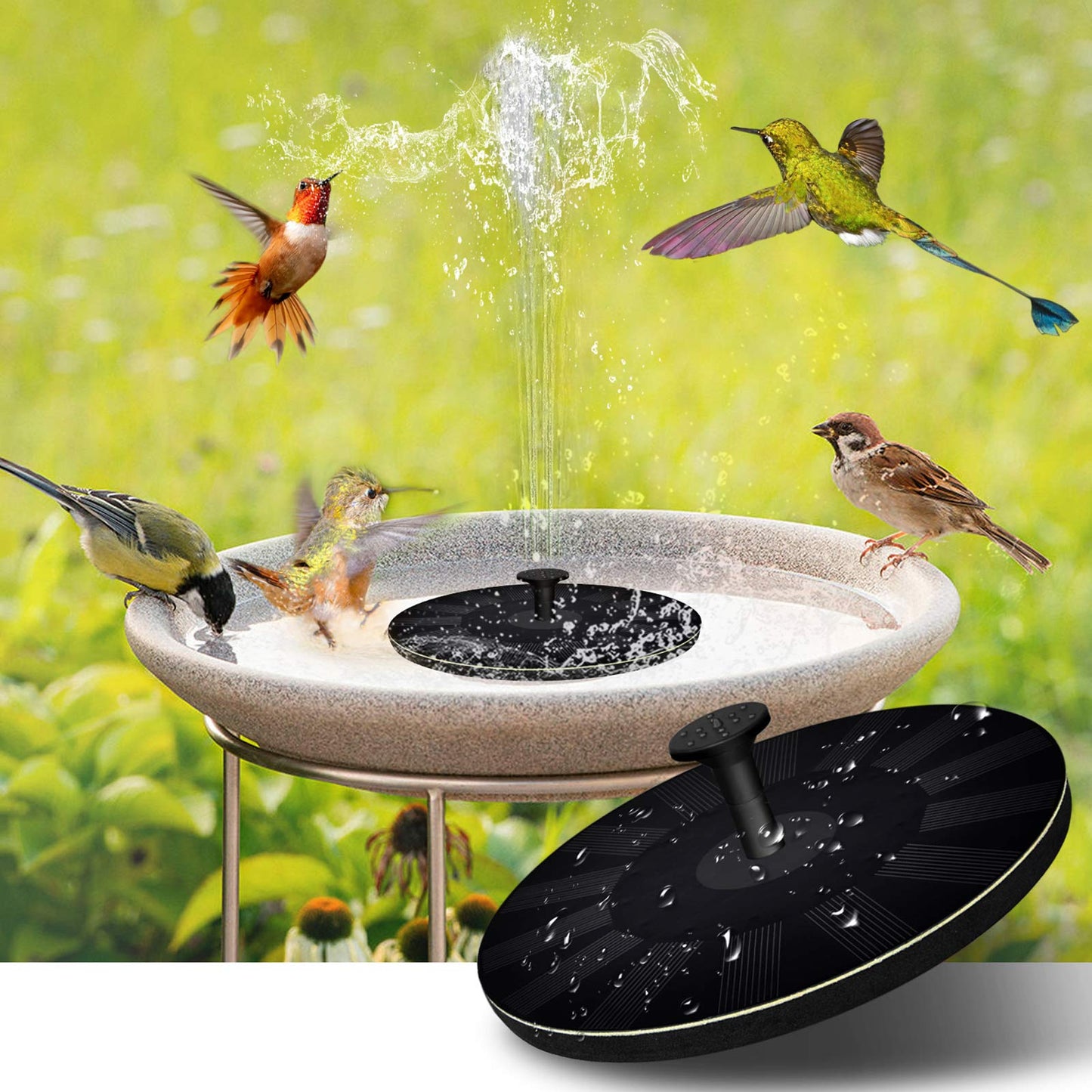 Outdoor Solar Powered Bird Bath Fountain - HappyKidMart
