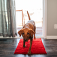 Super Absorbent Pet Floor Mat