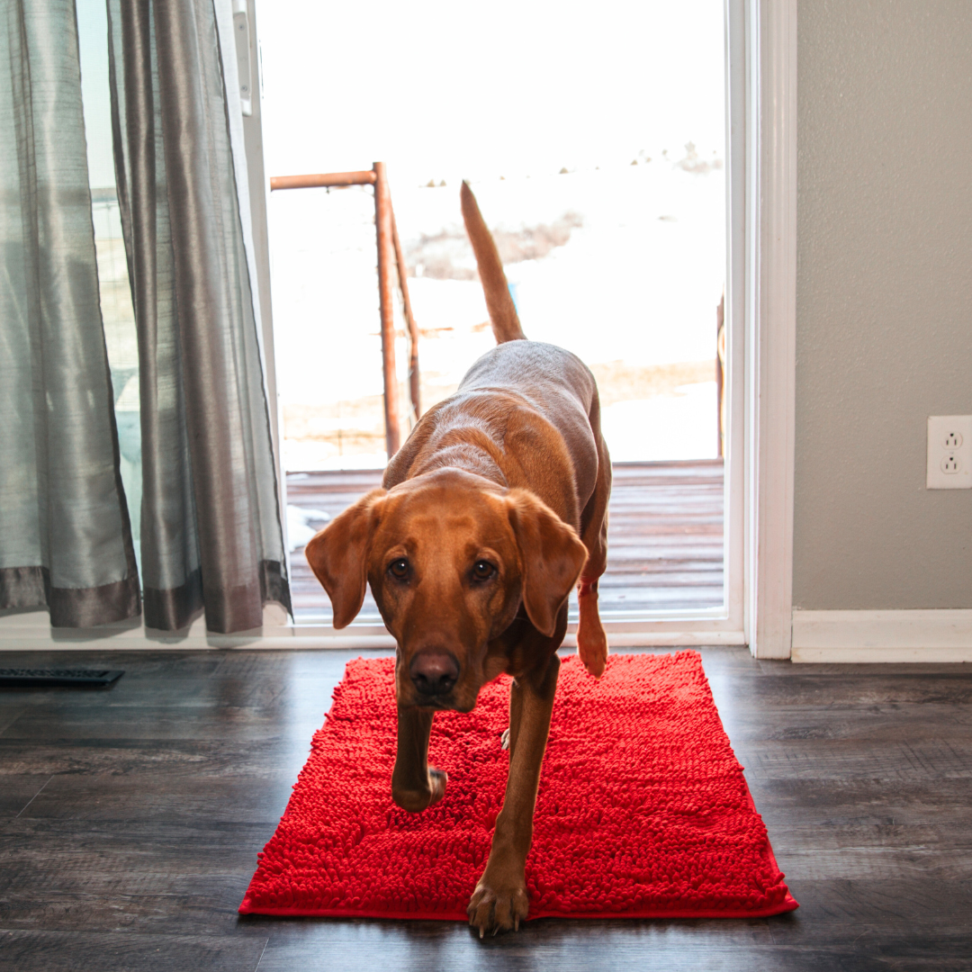 Super Absorbent Pet Floor Mat