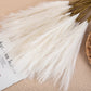 Beautiful Dried Pampas Grass Decoration