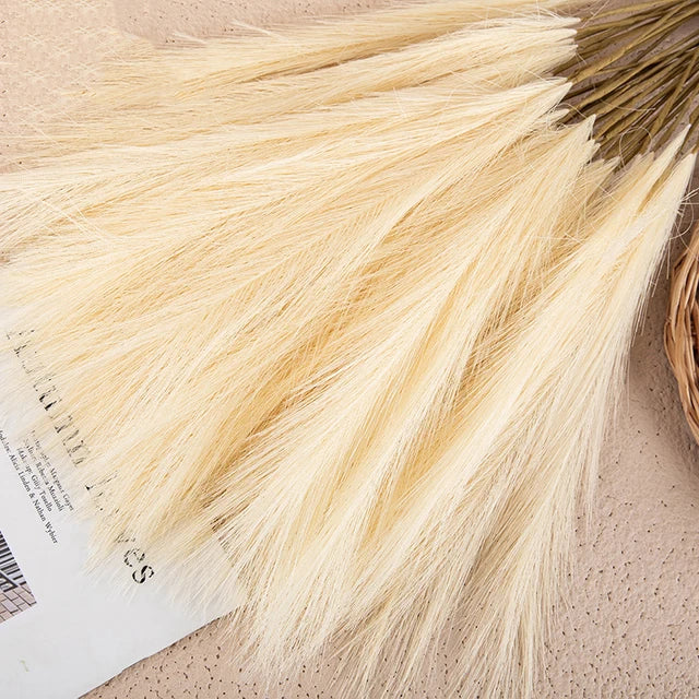 Beautiful Dried Pampas Grass Decoration