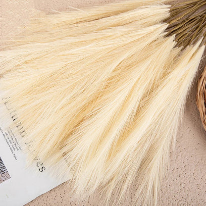 Beautiful Dried Pampas Grass Decoration