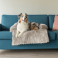 Soft Pet Couch Cover | Waterproof Faux Fur Pet Bed