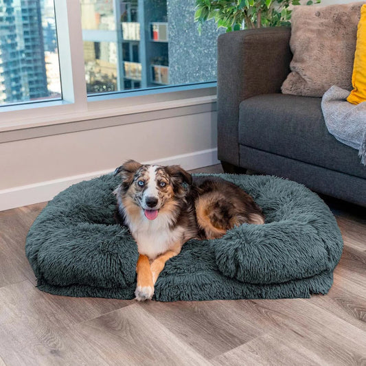 Comfortable Pet Bed | Thick Foam with Soft Cushion - HappyKidMart