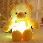 Colorful 20 Inch LED Glow Teddy Bear