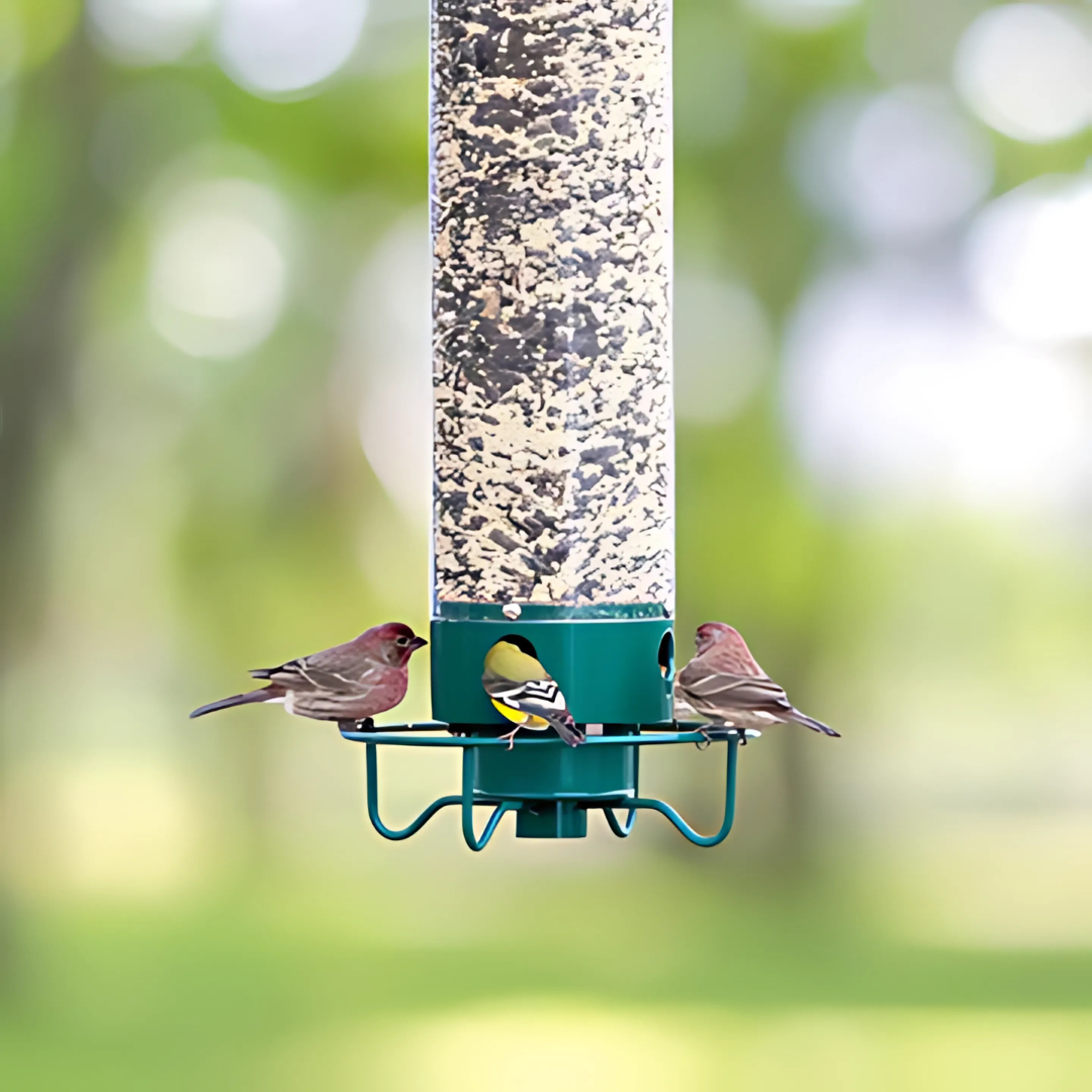 Squirrel Proof Bird Feeder with Spinning Tray - HappyKidMart