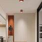 Stylish Overhead Lamp | Unique Glass Design
