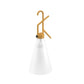 Compact Solar Powered Outdoor Light