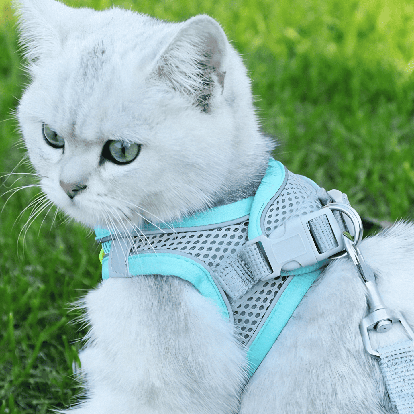 Breathable Pet Harness | Comfortable Fit Design - HappyKidMart