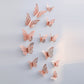 Colorful Butterfly Art Wall Decoration Rose Gold Finish