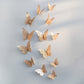 Colorful Butterfly Art Wall Decoration Rose Gold Finish