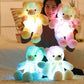 Colorful 20 Inch LED Glow Teddy Bear - HappyKidMart