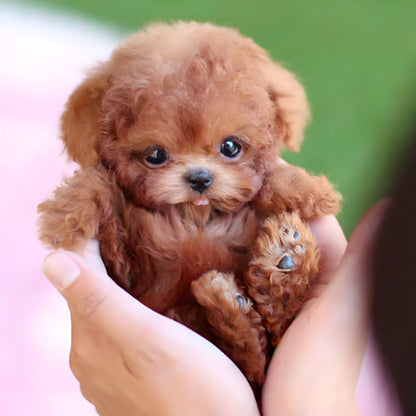 Fun Interactive Puppy Toy for Children - HappyKidMart