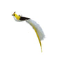 Fun Feather Teaser Cat Toy