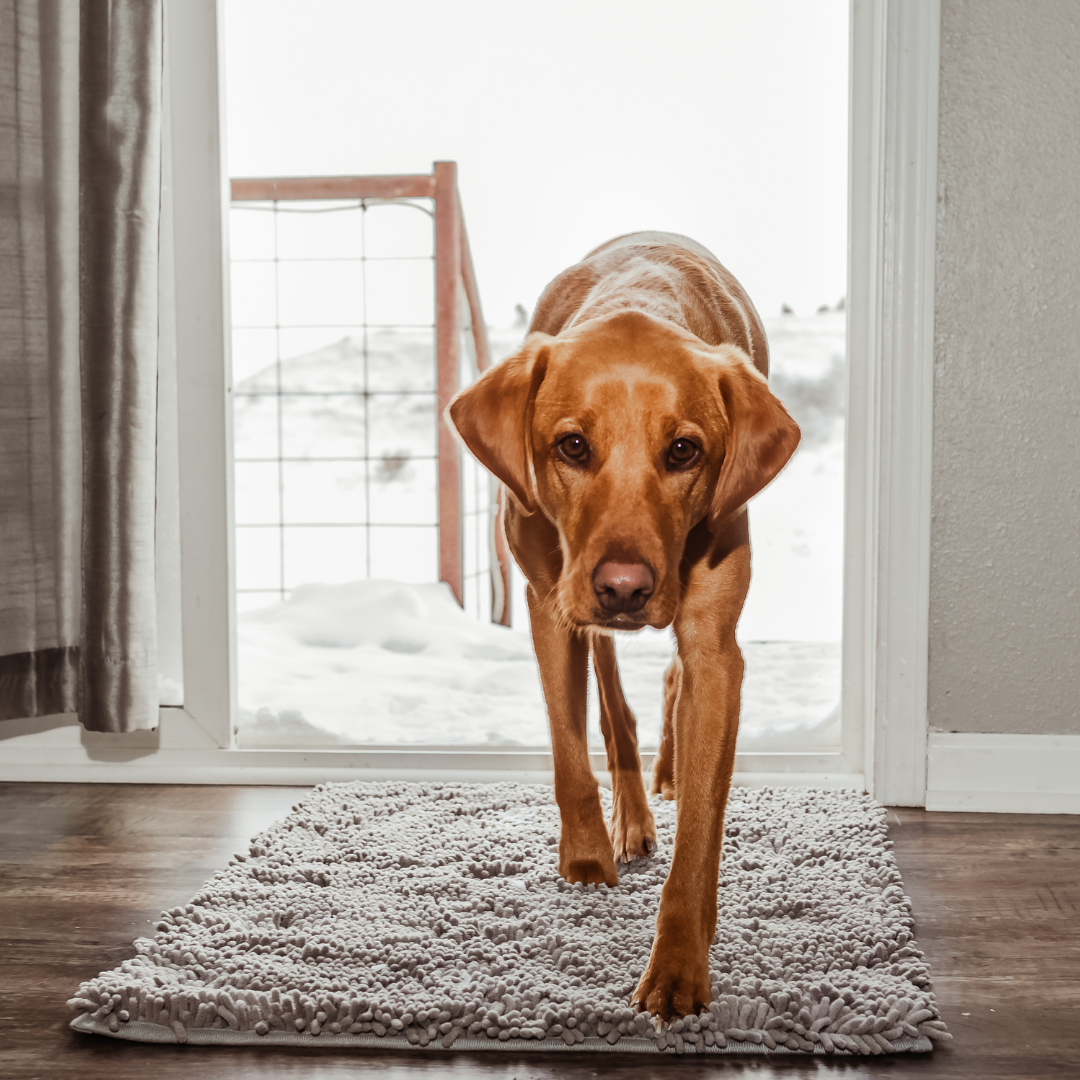 Super Absorbent Pet Floor Mat - HappyKidMart
