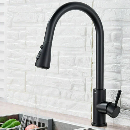 Sleek Black Kitchen Faucet