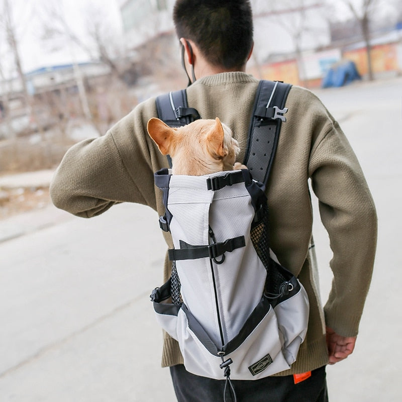 Comfortable Pet Hiking Backpack With Breathable Mesh Panels - HappyKidMart