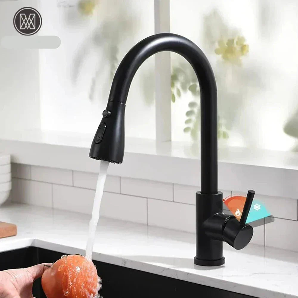Sleek Black Kitchen Faucet - HappyKidMart