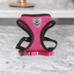 Comfortable Cat Vest and Leash Set