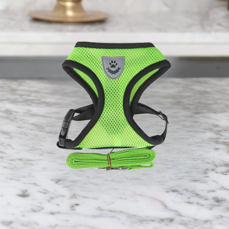 Comfortable Cat Vest and Leash Set