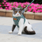 Cute Cat Harness | Blue Floral Pattern With Leash