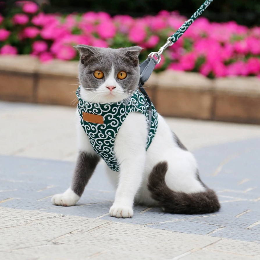 Cute Cat Harness | Blue Floral Pattern With Leash