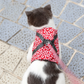 Cute Cat Harness | Blue Floral Pattern With Leash