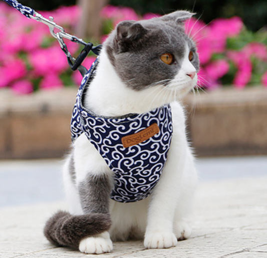 Cute Cat Harness | Blue Floral Pattern With Leash - HappyKidMart