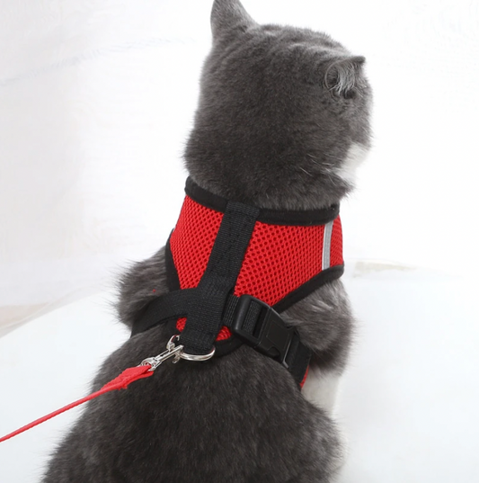 Comfortable Cat Vest and Leash Set - HappyKidMart