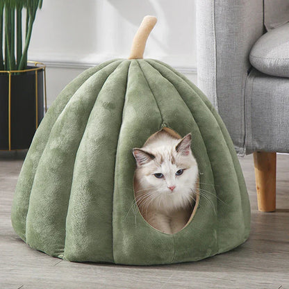 Cozy Kitty Pumpkin Bed For Cold Weather