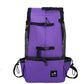 Comfortable Pet Hiking Backpack With Breathable Mesh Panels