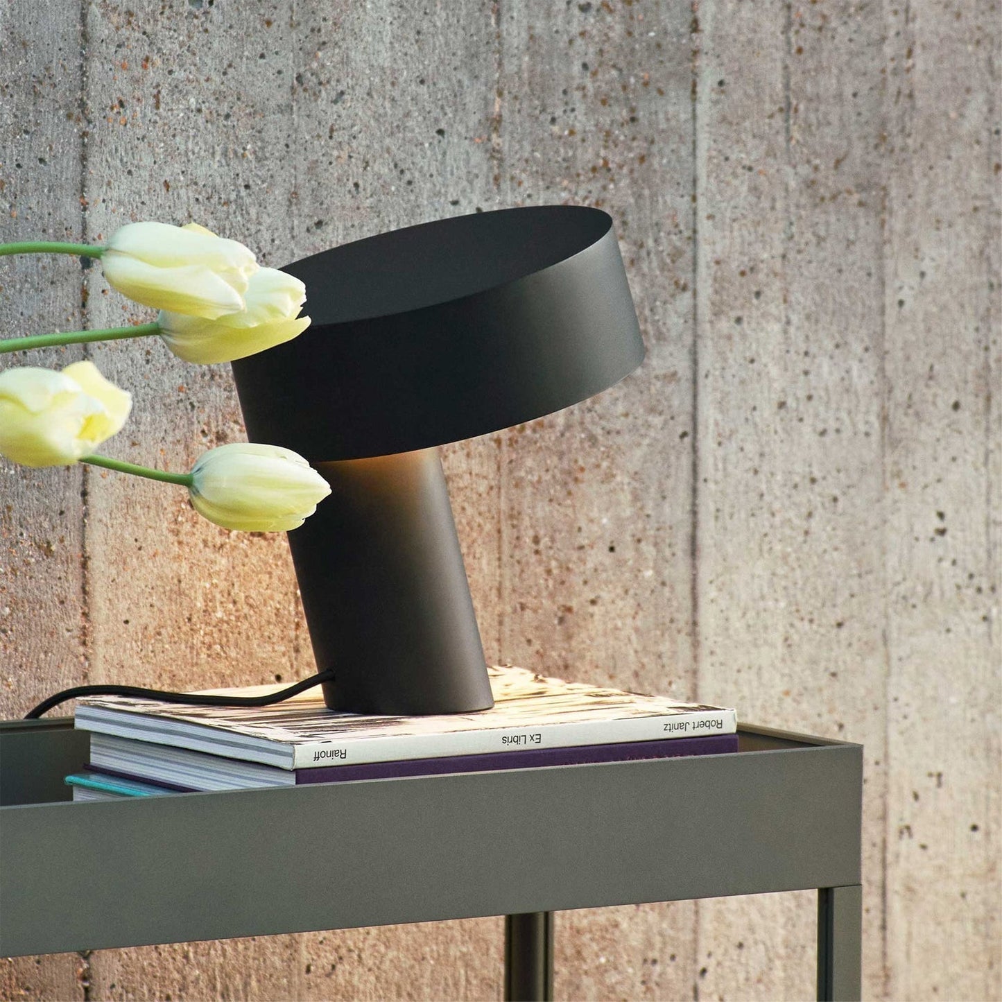 Sleek Metal Desk Lamp
