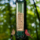 Squirrel Proof Bird Feeder with Spin Tray - HappyKidMart