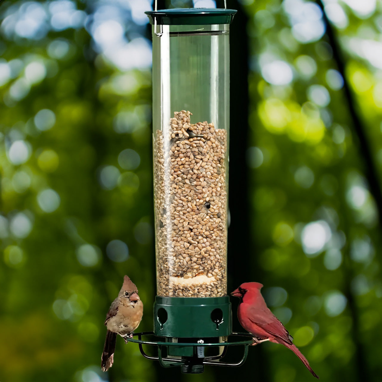 Squirrel Proof Bird Feeder with Spin Tray - HappyKidMart