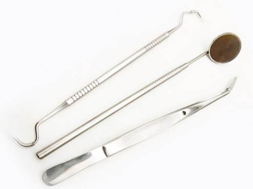 Premium Oral Care Kit 3pc Stainless Steel Set - HappyKidMart